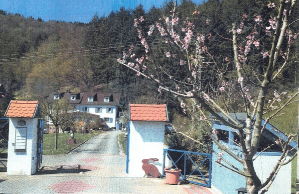 Predaj domu 580 m², pozemek 6.808 m², Oberzent / Beerfelden Predaj domu 580 m², pozemek 6.808 m², Oberzent / Beerfelden