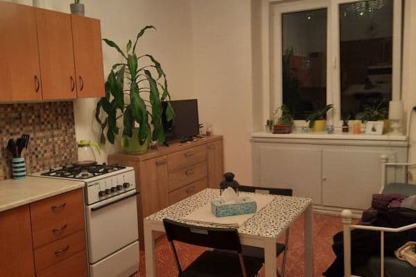 Prenájom bytu 2-izbový 45 m², Vrchlického, Praha Prenájom bytu 2-izbový 45 m², Vrchlického, Praha