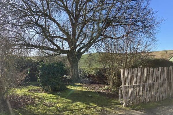 Predaj pozemku 150 m², Grebenstein Predaj pozemku 150 m², Grebenstein