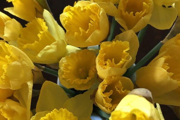 Predaj bytu 5-izbový 160 m², Rottenburg am Neckar Predaj bytu 5-izbový 160 m², Rottenburg am Neckar