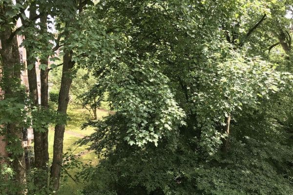 Predaj bytu 2-izbový 67 m², Hamburg, Hamburg Predaj bytu 2-izbový 67 m², Hamburg, Hamburg