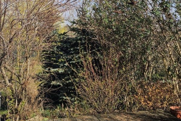 Prenájom bytu 1-izbový 30 m², Sukova, Velké Přílepy Prenájom bytu 1-izbový 30 m², Sukova, Velké Přílepy