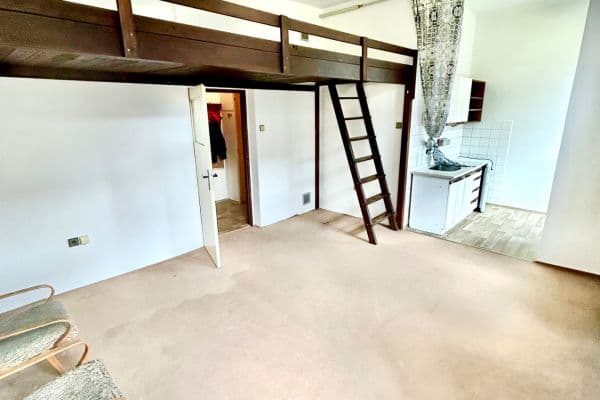 Prenájom bytu 1-izbový 42 m², Skuherského, České Budějovice, Jihočeský kraj Prenájom bytu 1-izbový 42 m², Skuherského, České Budějovice, Jihočeský kraj