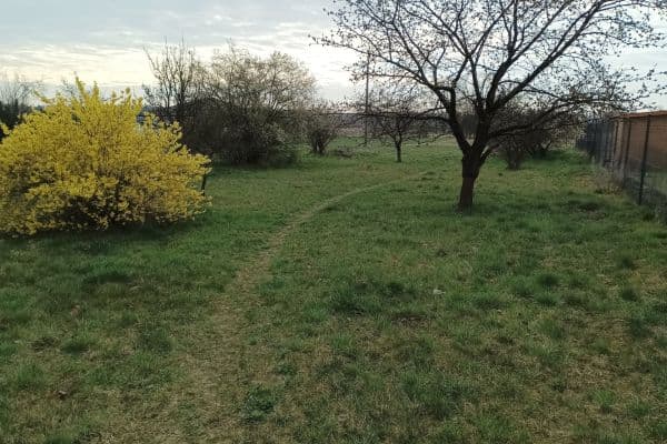 Predaj pozemku 500 m², Polní, Lázně Bohdaneč Predaj pozemku 500 m², Polní, Lázně Bohdaneč