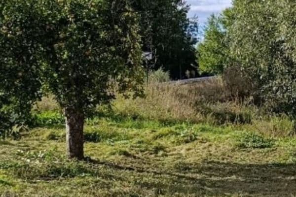 Predaj pozemku Predaj pozemku