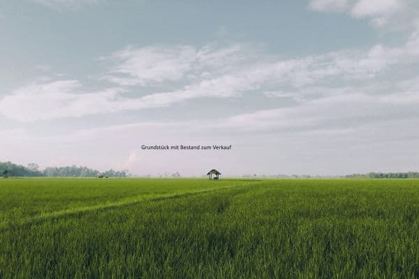 Predaj domu 220 m², pozemek 1.350 m², Hamburg Predaj domu 220 m², pozemek 1.350 m², Hamburg