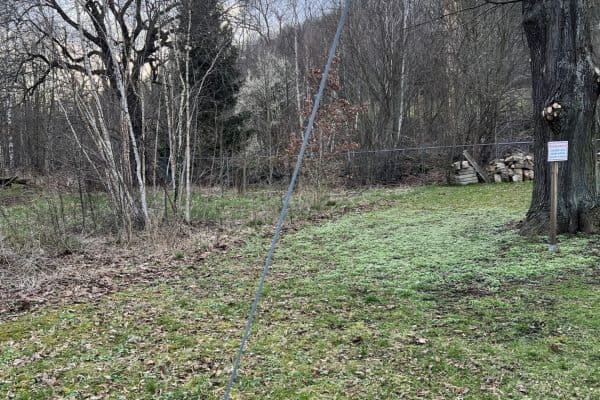 Predaj pozemku 9.008 m², Dippoldiswalde Predaj pozemku 9.008 m², Dippoldiswalde