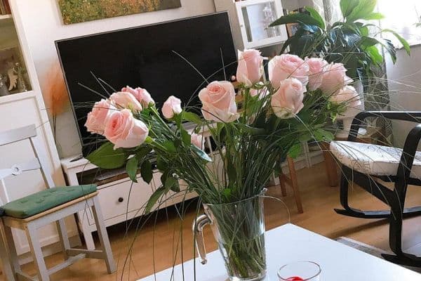 Prenájom bytu 3-izbový 74 m², Krefeld, Severné Porýnie - Westfálsko Prenájom bytu 3-izbový 74 m², Krefeld, Severné Porýnie - Westfálsko