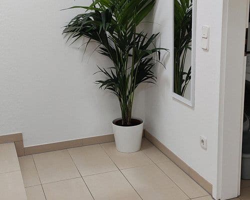 Prenájom bytu 2-izbový 58 m², Oberborsbacher Str. 19, Odenthal Prenájom bytu 2-izbový 58 m², Oberborsbacher Str. 19, Odenthal