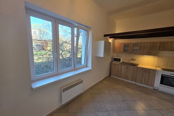 Prenájom bytu 1-izbový 47 m², Jana Želivského, Praha Prenájom bytu 1-izbový 47 m², Jana Želivského, Praha