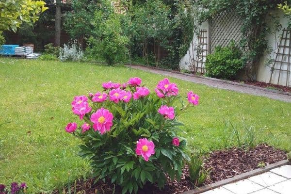 Prenájom bytu 2-izbový 90 m², Zorneding, Bavorsko Prenájom bytu 2-izbový 90 m², Zorneding, Bavorsko