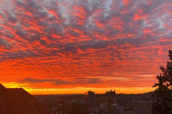 Prenájom bytu 2-izbový 52 m², Zengrova, Praha Prenájom bytu 2-izbový 52 m², Zengrova, Praha