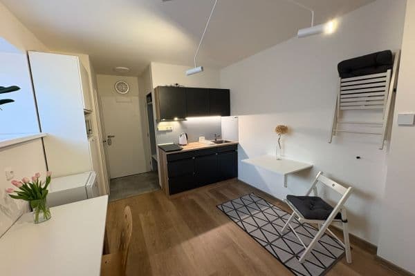 Prenájom bytu Garsoniéra 19 m², Šmolíkova, Praha Prenájom bytu Garsoniéra 19 m², Šmolíkova, Praha