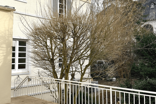 Prenájom domu 150 m², pozemek 200 m², Weberstraße 10, Bad Homburg vor der Höhe Prenájom domu 150 m², pozemek 200 m², Weberstraße 10, Bad Homburg vor der Höhe