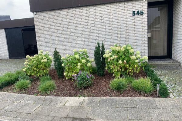 Prenájom bytu 2-izbový 60 m², Sehrbruchskamp 54b, Herne Prenájom bytu 2-izbový 60 m², Sehrbruchskamp 54b, Herne