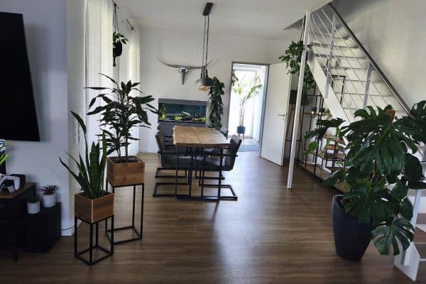 Prenájom bytu 3-izbový 105 m², Offlumer Str. 45 / Wichernstr. 8, Neuenkirchen Prenájom bytu 3-izbový 105 m², Offlumer Str. 45 / Wichernstr. 8, Neuenkirchen