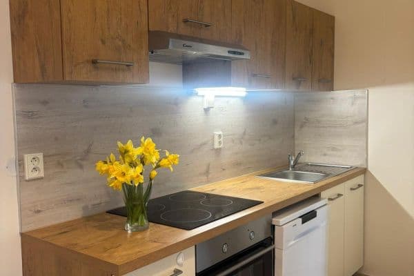 Prenájom bytu 2-izbový 51 m², Dělnická, Praha Prenájom bytu 2-izbový 51 m², Dělnická, Praha