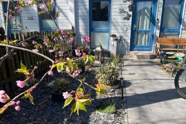 Predaj domu 165 m², pozemek 162 m², Falkensee Predaj domu 165 m², pozemek 162 m², Falkensee