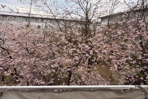 Prenájom bytu 1-izbový 42 m², München, Bavorsko Prenájom bytu 1-izbový 42 m², München, Bavorsko