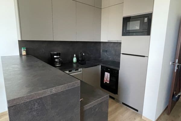 Prenájom bytu 1-izbový 30 m², Svitákova, Praha Prenájom bytu 1-izbový 30 m², Svitákova, Praha