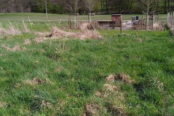 Predaj pozemku 581 m², Heimbuchenthal Predaj pozemku 581 m², Heimbuchenthal