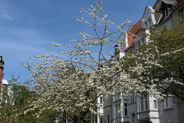 Prenájom bytu 4-izbový 134 m², Dortmund, Severné Porýnie - Westfálsko Prenájom bytu 4-izbový 134 m², Dortmund, Severné Porýnie - Westfálsko