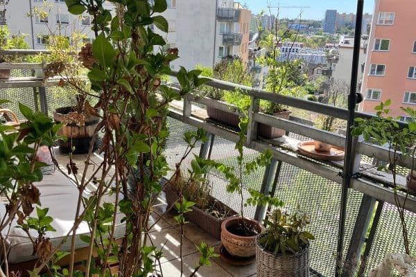 Predaj bytu 4-izbový 100 m², Symfonická, Praha Predaj bytu 4-izbový 100 m², Symfonická, Praha