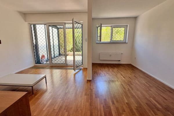 Prenájom bytu 1-izbový 45 m², U Vojanky, Prague Prenájom bytu 1-izbový 45 m², U Vojanky, Prague