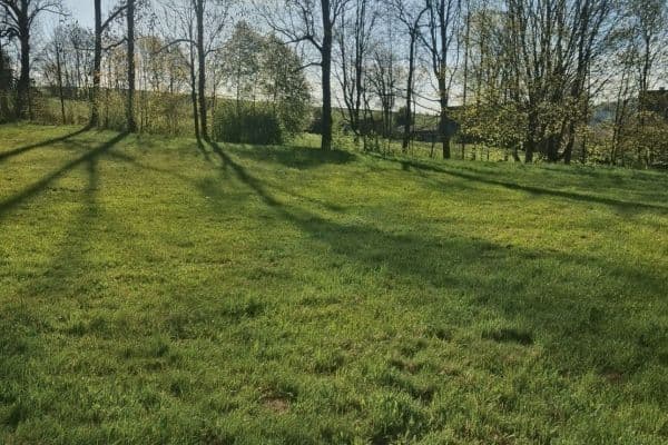 Predaj pozemku 2.670 m², Svojek Predaj pozemku 2.670 m², Svojek