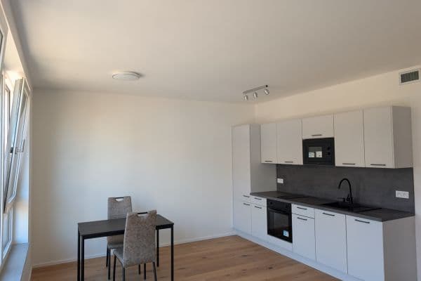 Prenájom bytu 1-izbový 33 m², U Komína, Praha Prenájom bytu 1-izbový 33 m², U Komína, Praha
