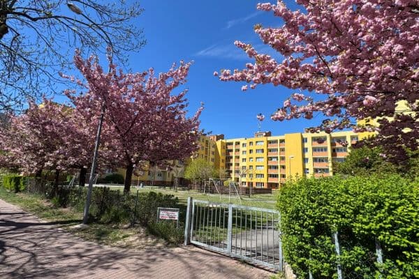Prenájom bytu 3-izbový 80 m², J. Š. Baara, České Budějovice Prenájom bytu 3-izbový 80 m², J. Š. Baara, České Budějovice