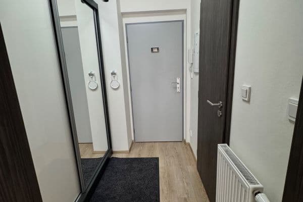 Prenájom bytu 1-izbový 42 m², Hřbitovní, Plzeň Prenájom bytu 1-izbový 42 m², Hřbitovní, Plzeň