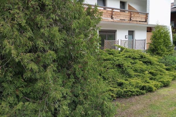Prenájom bytu 2-izbový 70 m², Inzell, Bavorsko Prenájom bytu 2-izbový 70 m², Inzell, Bavorsko