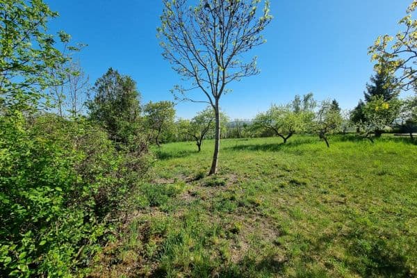Predaj pozemku 998 m², Hoštka Predaj pozemku 998 m², Hoštka