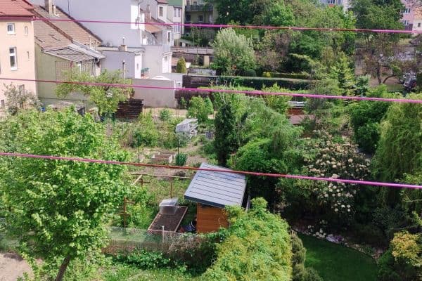 Prenájom bytu 3-izbový 60 m², Pechova, Brno, Jihomoravský kraj Prenájom bytu 3-izbový 60 m², Pechova, Brno, Jihomoravský kraj