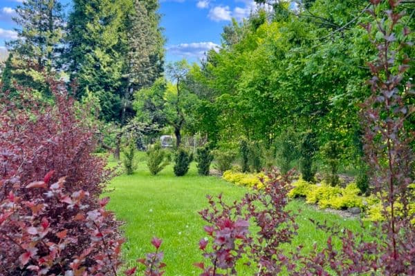 Predaj pozemku 806 m², Česká Lípa Predaj pozemku 806 m², Česká Lípa