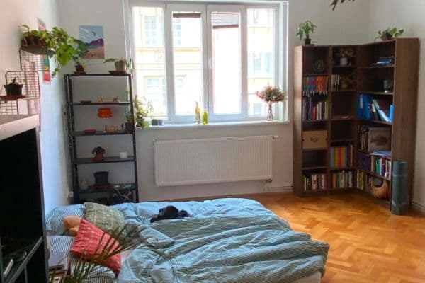 Prenájom bytu 2-izbový 25 m², Úvoz, Brno Prenájom bytu 2-izbový 25 m², Úvoz, Brno