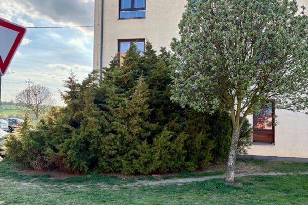 Prenájom bytu 3-izbový 58 m², Okružní, Roudnice nad Labem Prenájom bytu 3-izbový 58 m², Okružní, Roudnice nad Labem