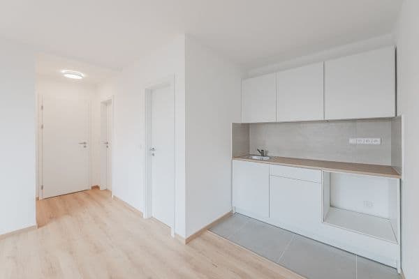 Prenájom bytu 1-izbový 24 m², U Střelnice, Hradec Králové Prenájom bytu 1-izbový 24 m², U Střelnice, Hradec Králové