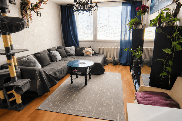 Predaj bytu 3-izbový 57 m², Radomská, Praha Predaj bytu 3-izbový 57 m², Radomská, Praha