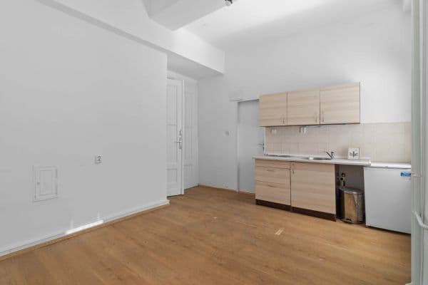Prenájom bytu 1-izbový 18 m², Vodičkova, Praha Prenájom bytu 1-izbový 18 m², Vodičkova, Praha