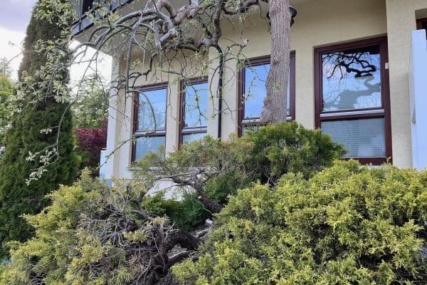 Predaj bytu 3-izbový 98 m², Königsfeld Predaj bytu 3-izbový 98 m², Königsfeld