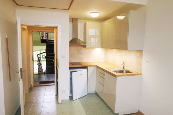 Prenájom bytu 1-izbový 28 m², Radlická, Praha Prenájom bytu 1-izbový 28 m², Radlická, Praha