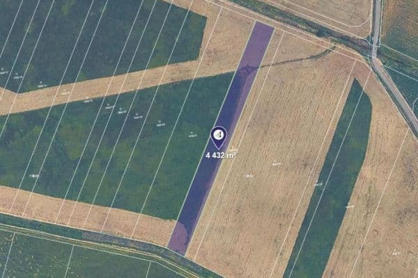 Predaj pozemku 4.432 m², Borkovice Predaj pozemku 4.432 m², Borkovice