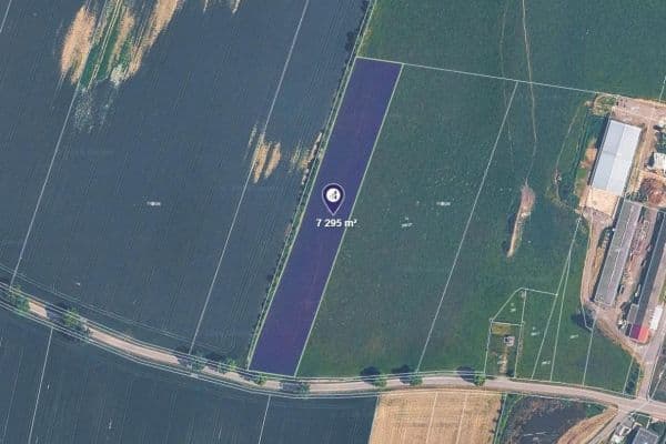 Predaj pozemku 7.295 m², Borkovice Predaj pozemku 7.295 m², Borkovice