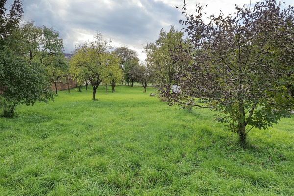 Predaj pozemku 2.042 m², Chvalkovice na Hané Predaj pozemku 2.042 m², Chvalkovice na Hané