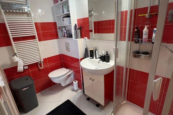 Prenájom bytu 2-izbový 42 m², Lidická třída, České Budějovice Prenájom bytu 2-izbový 42 m², Lidická třída, České Budějovice