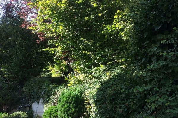 Prenájom bytu 1-izbový 16 m², Stuttgart-Kaltental, Bádensko-Wurttembersko Prenájom bytu 1-izbový 16 m², Stuttgart-Kaltental, Bádensko-Wurttembersko
