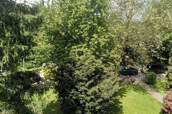 Prenájom bytu 3-izbový 83 m², Platanenallee 13, Kerpen Prenájom bytu 3-izbový 83 m², Platanenallee 13, Kerpen