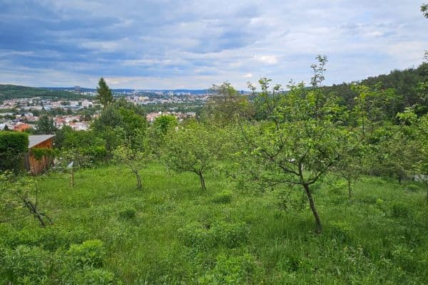Prenájom pozemku 5.966 m², Muškátová, Brno Prenájom pozemku 5.966 m², Muškátová, Brno